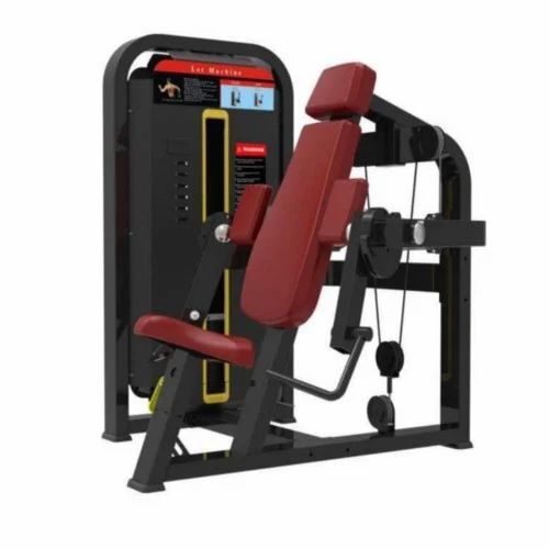Single Station Biceps Curl