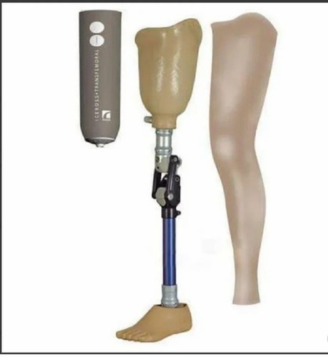 Artificial Lower Limb