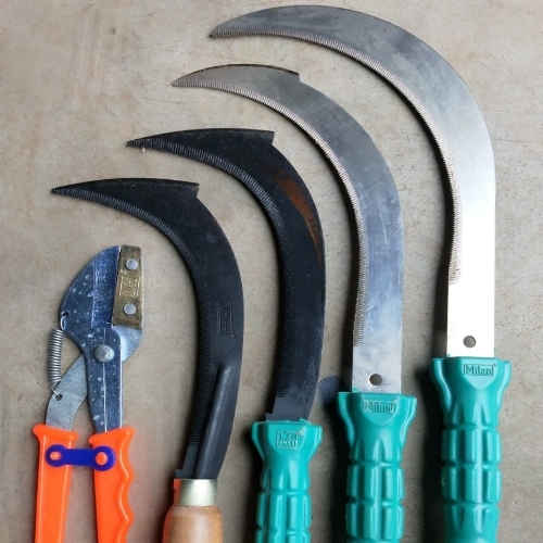 Garden Shear