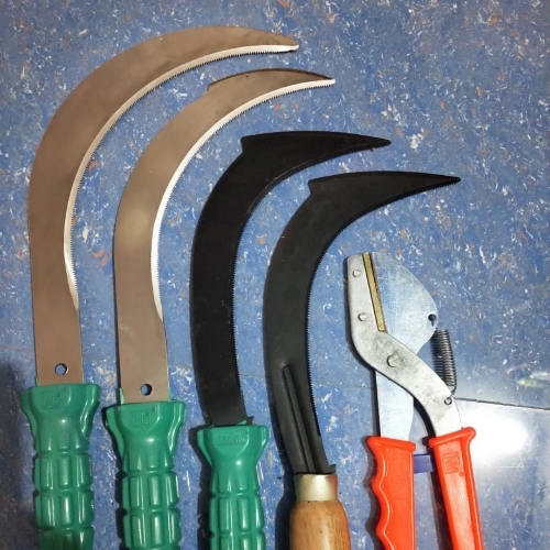 Shears agriculture