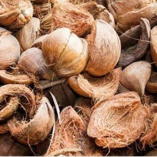 Coconut Husk