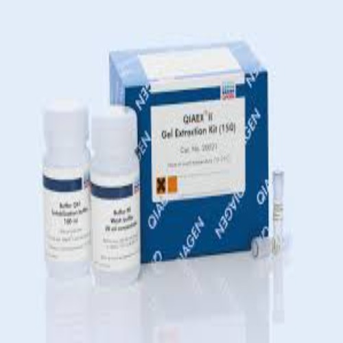 20051 QIAEX II Gel Extraction Kit (500)