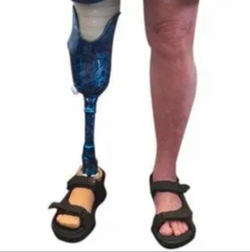 Artificial Right Knee Prosthesis