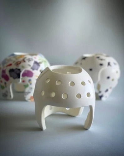 Cranial Helmet Orthosis