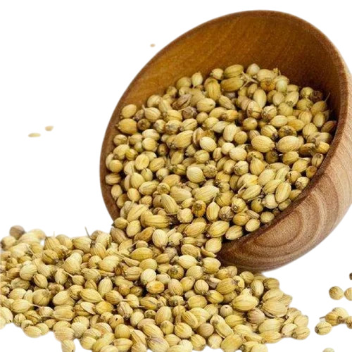 Organic Coriander Seed