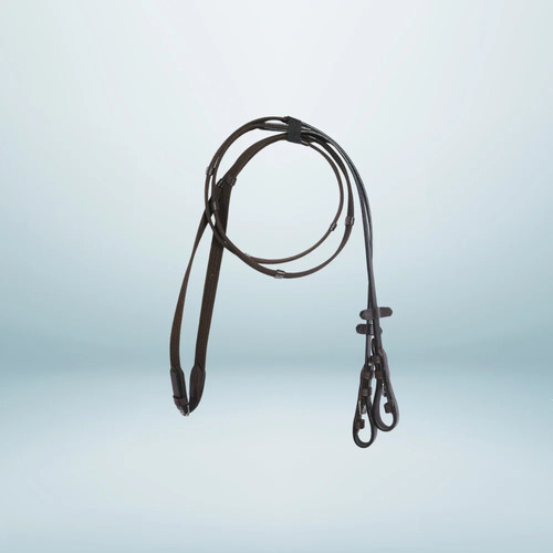 Leather BridleS