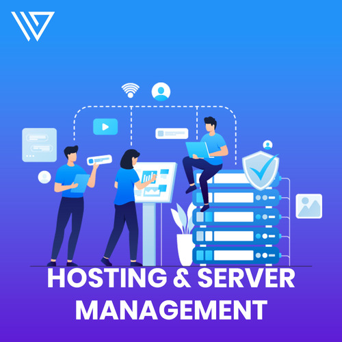 Hosting & Server Management