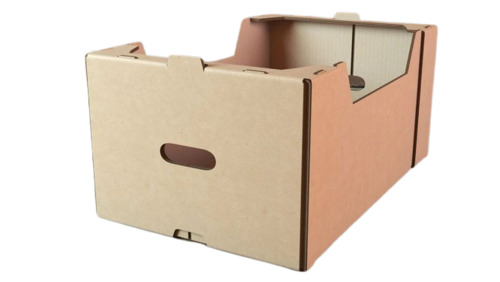 Vegetable Packaging Boxes