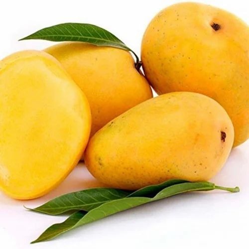 ताजे आल्फोंसो आम