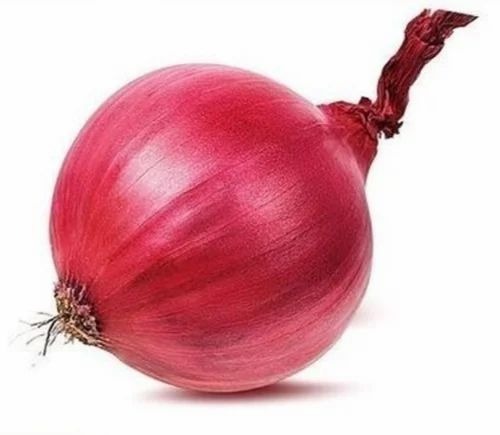 Fresh Organic Red Onion