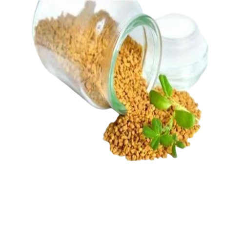 Dried Fenugreek
