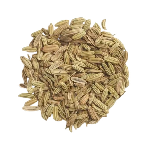 Green Fennel Seed