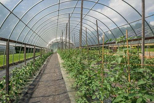 Nursery Greenhouse - Door Material: Aluminum Window