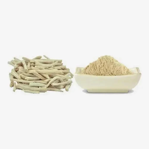 Shatavari Powder