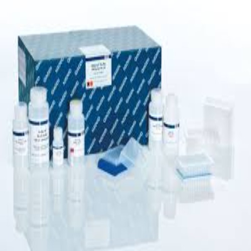 27291 QIAprep 96 Plus Miniprep Kit (4)
