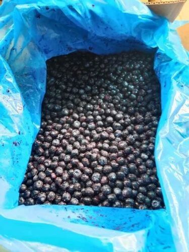 A Grade Frozen Blueberry