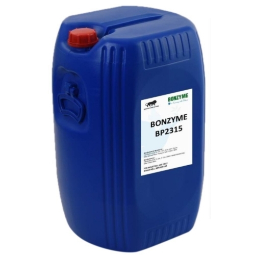Bio Polish Enzyme