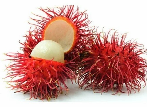 Fresh Rambutan Fruit