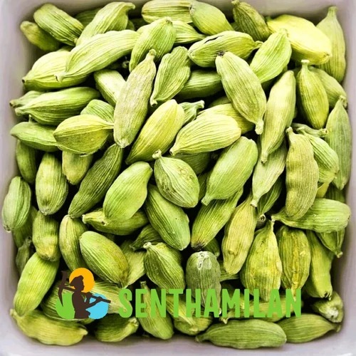 Green Cardamom