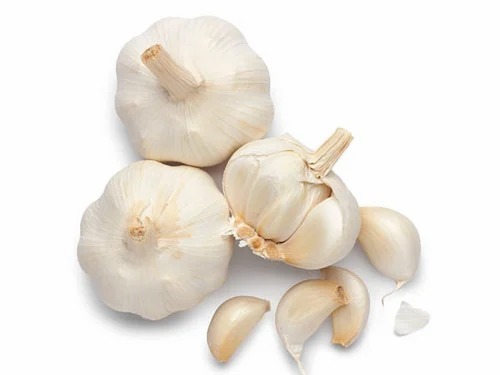 White Fresh Garlic