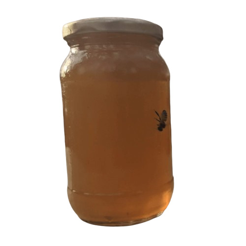 Raw Multi Flora Honey
