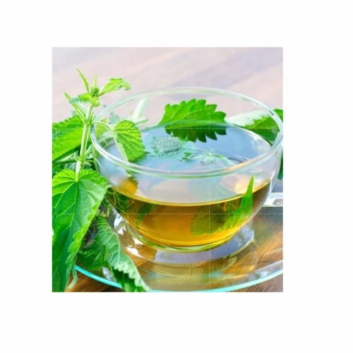 Tulsi Green Tea
