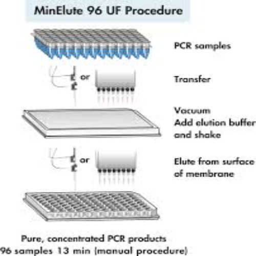 28051 MinElute 96 UF PCR Purification Kit (4)