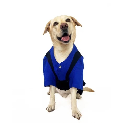 Dog Black Dungaree