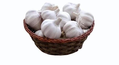 Fresh Garlic