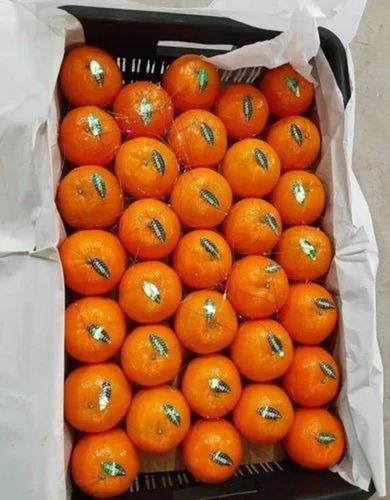 Fresh Kinnow Orange
