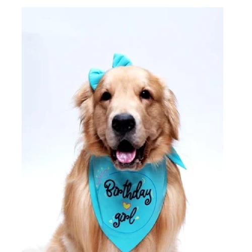 Girl Dog Bandana