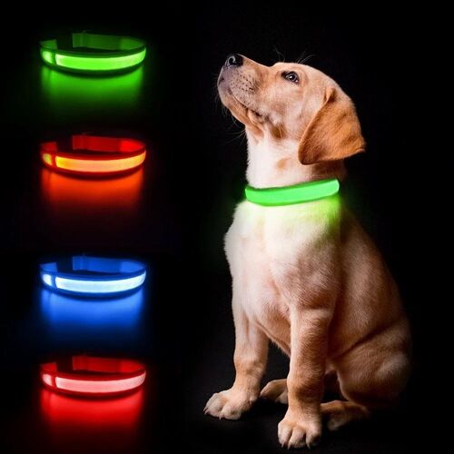 Led Dog Collar