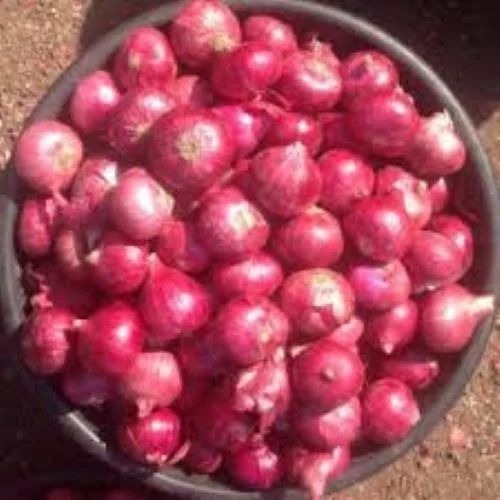 Red Onion