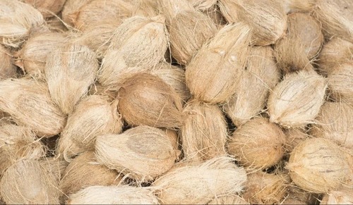 सेमी हस्केड नारियल