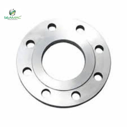 स्टेनलेस स्टील 304 फ्लैंज