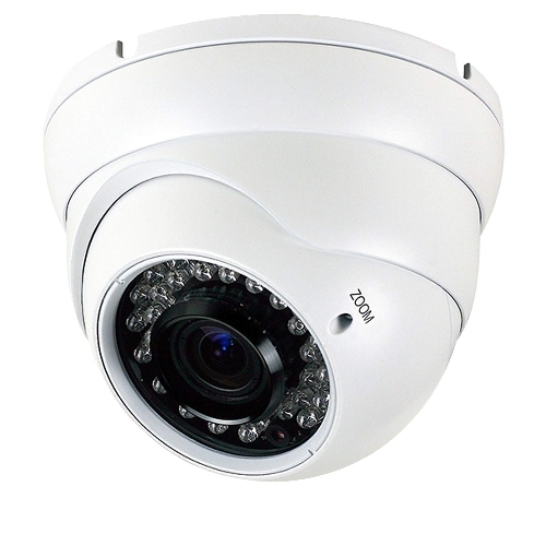 White Dome Cctv Camera