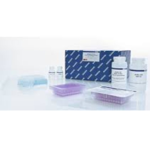 28204 MinElute Reaction Cleanup Kit (50)