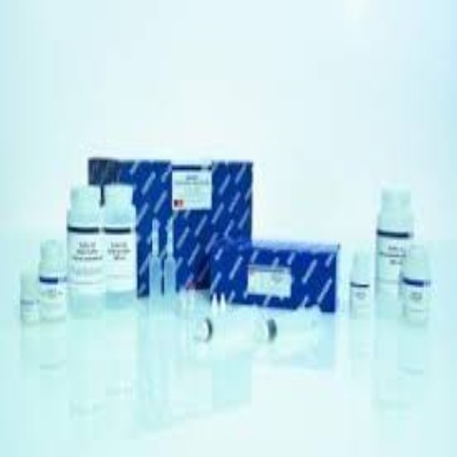 28306 QIAquick Nucleotide Removal Kit (250)
