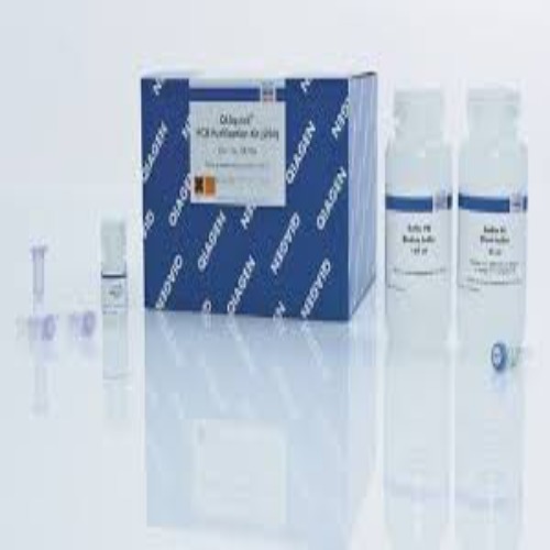 28506 QIAquick PCR & Gel Cleanup Kit (100)