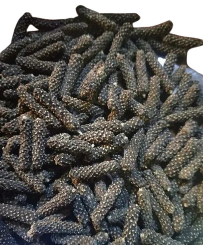 Brown Long Black Pepper