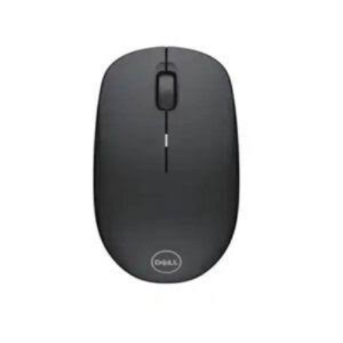 Computer Mouse
