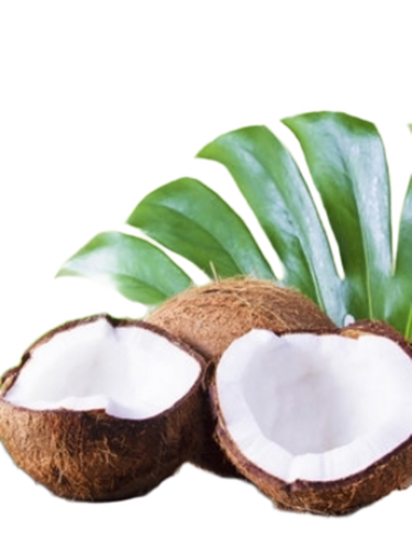Fresh Coconut