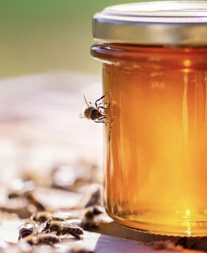 Natural Sunflower Honey