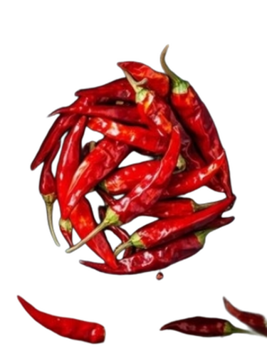 Red Chilli