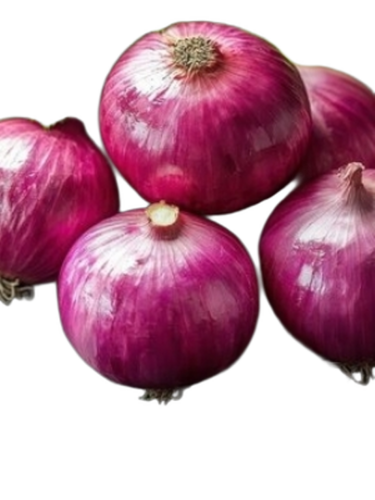Red Onion