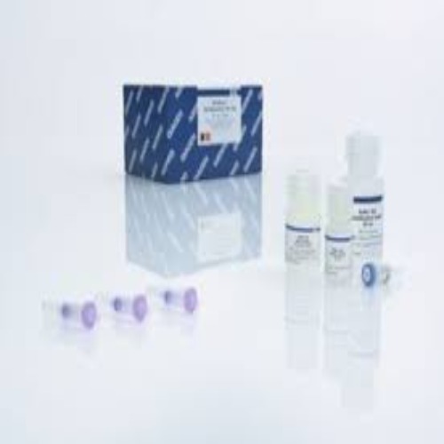 28606 Minelute Gel Extraction Kit (250)