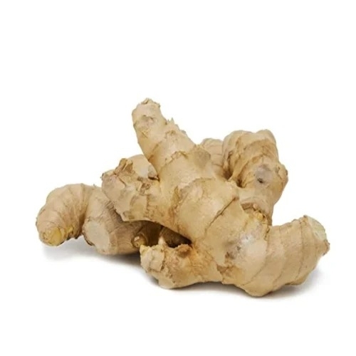 Ginger