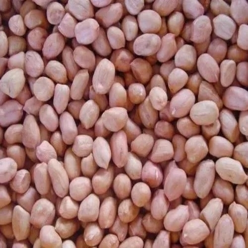 Peanut