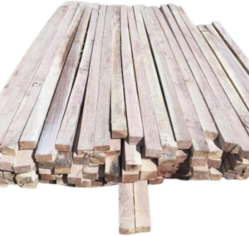 सिल्वर ओक रनर प्लैंक