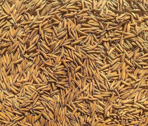 Sonam Organic Paddy Rice